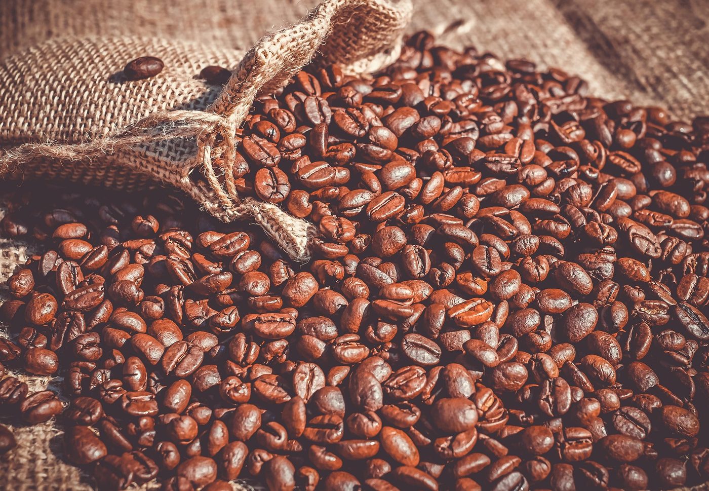 Roasted Indonesian coffee beans spilling from a burlap sack